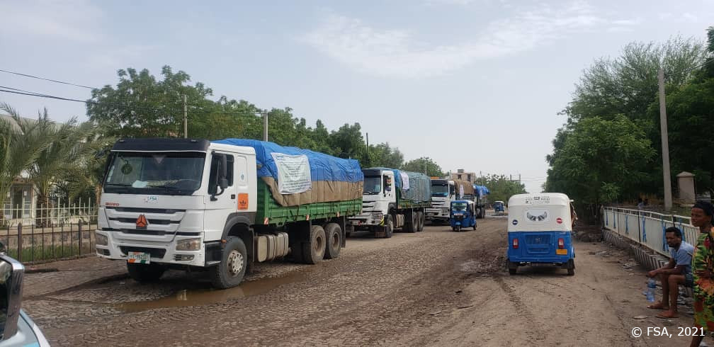 Tweede fase van de noodmaatregelen voor inlands ontheemden en de gastgemeenschappen in Koneba en de aangrenzende woreda van Afar in de Tigray-regio.