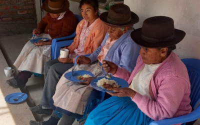 Asociación Vidas: ondersteuning van de Quechua in Peru
